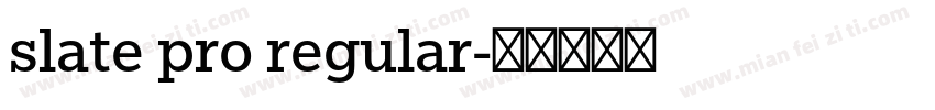 slate pro regular字体转换